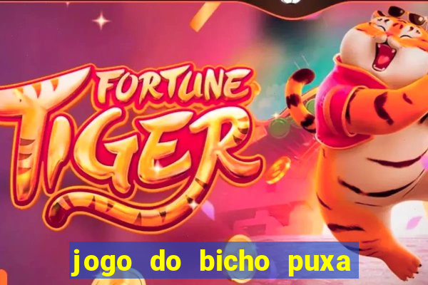 jogo do bicho puxa de dona maria